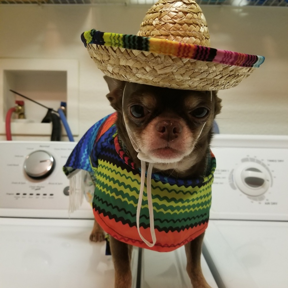 Happy Halloween 🎃